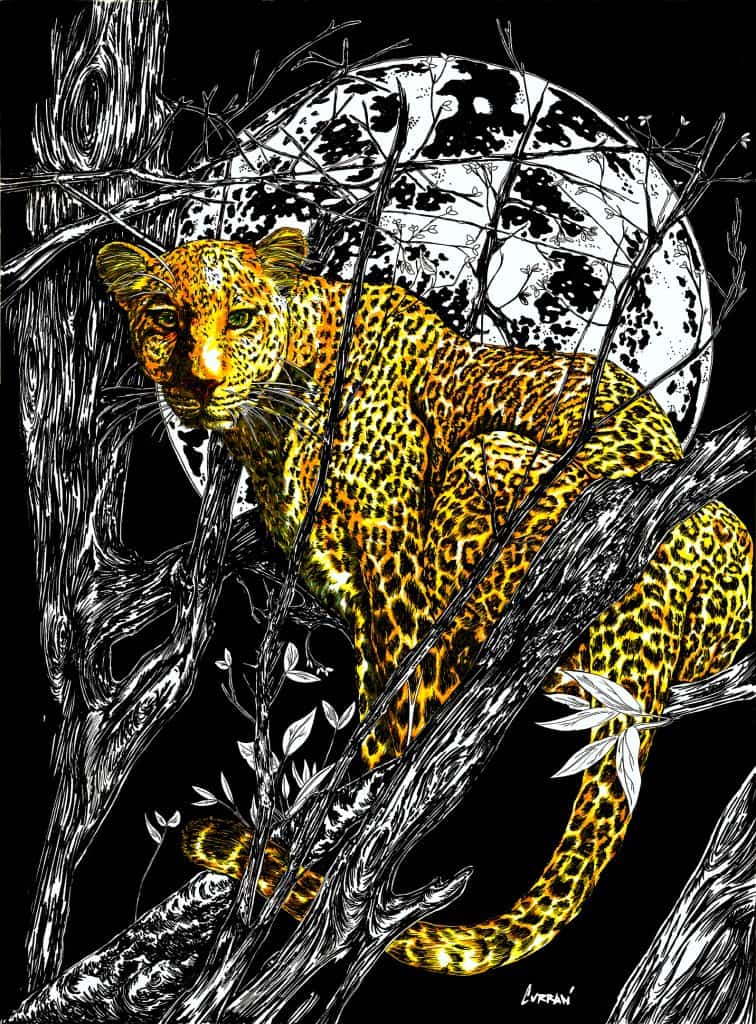 Cheetah-2-Jpeg-small