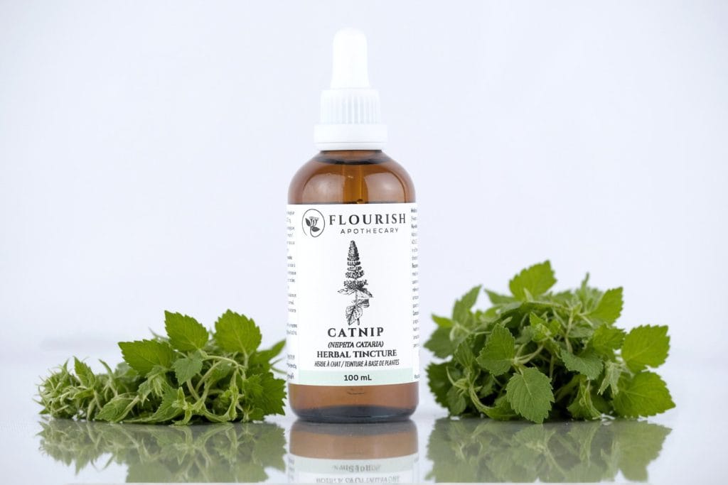 FA-Catnip-Tincture-100ml