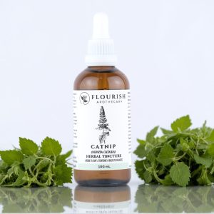 Catnip Herbal Tincture