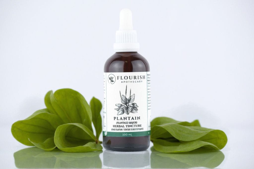 FA-plantaintincture100ml