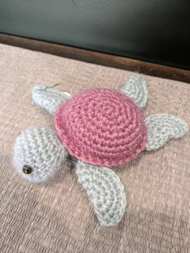 HM12-219-turtle
