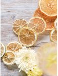 LIMEY Dried Sliced Fruit Garnish
