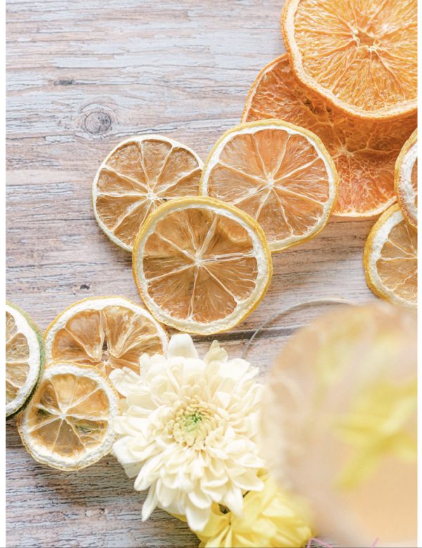 LIMEY Dried Sliced Fruit Garnish