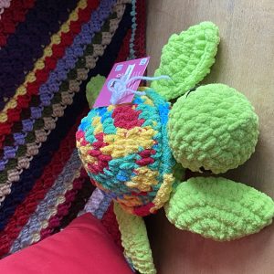 Plush Rainbow Turtle
