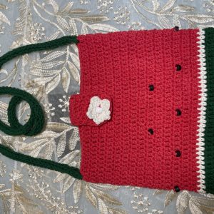 Crochet Watermelon Phone bag
