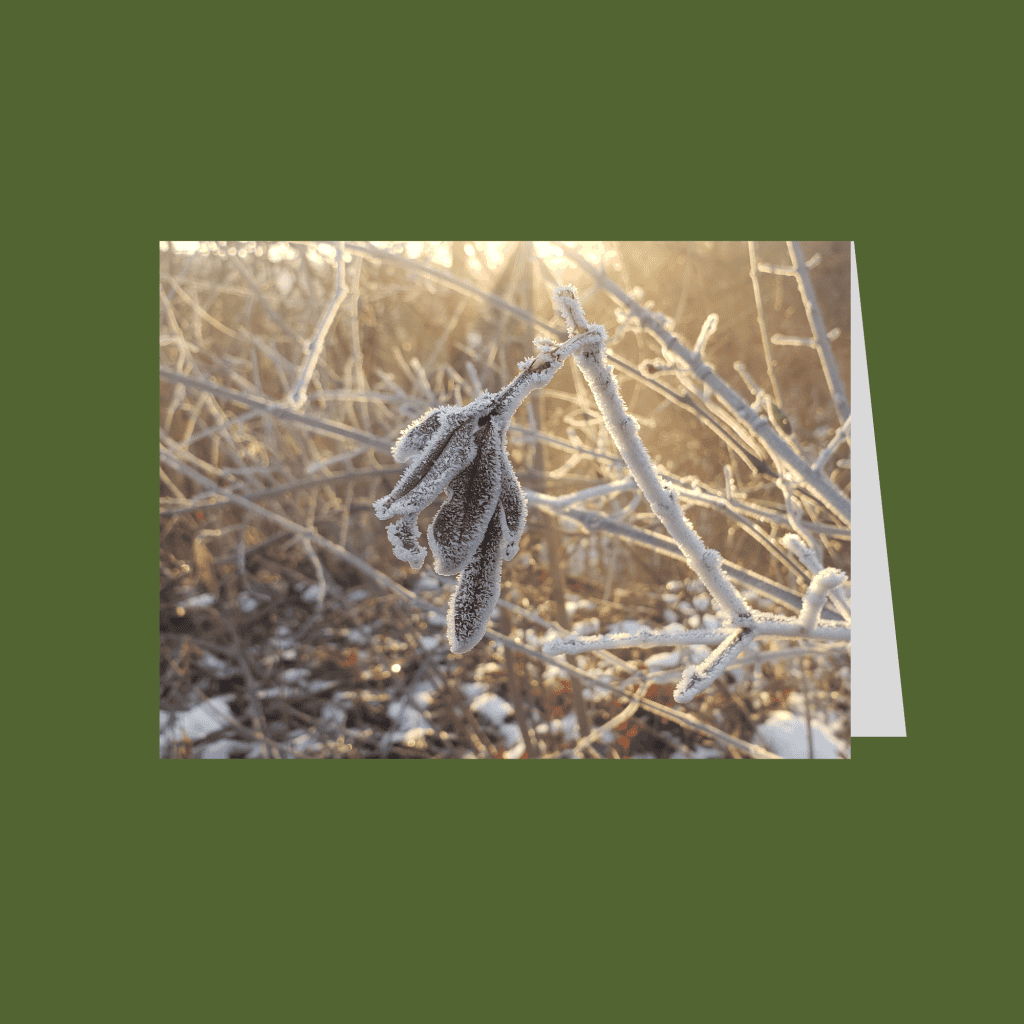 Landscape-Cards-2