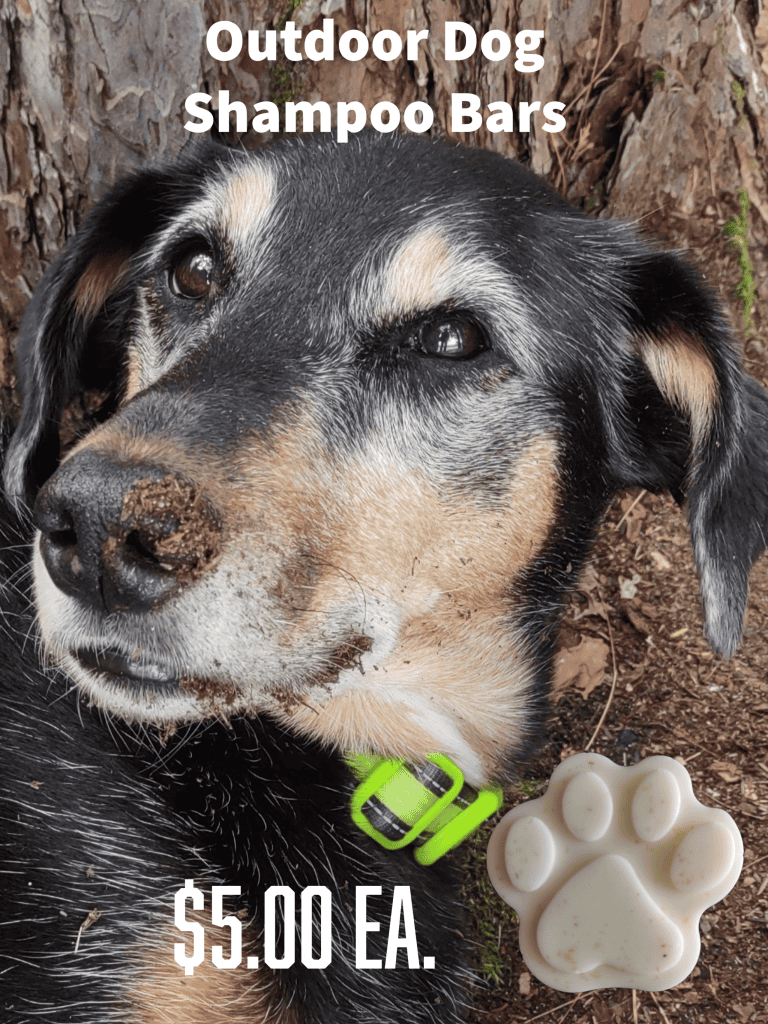Outdoor-Dog