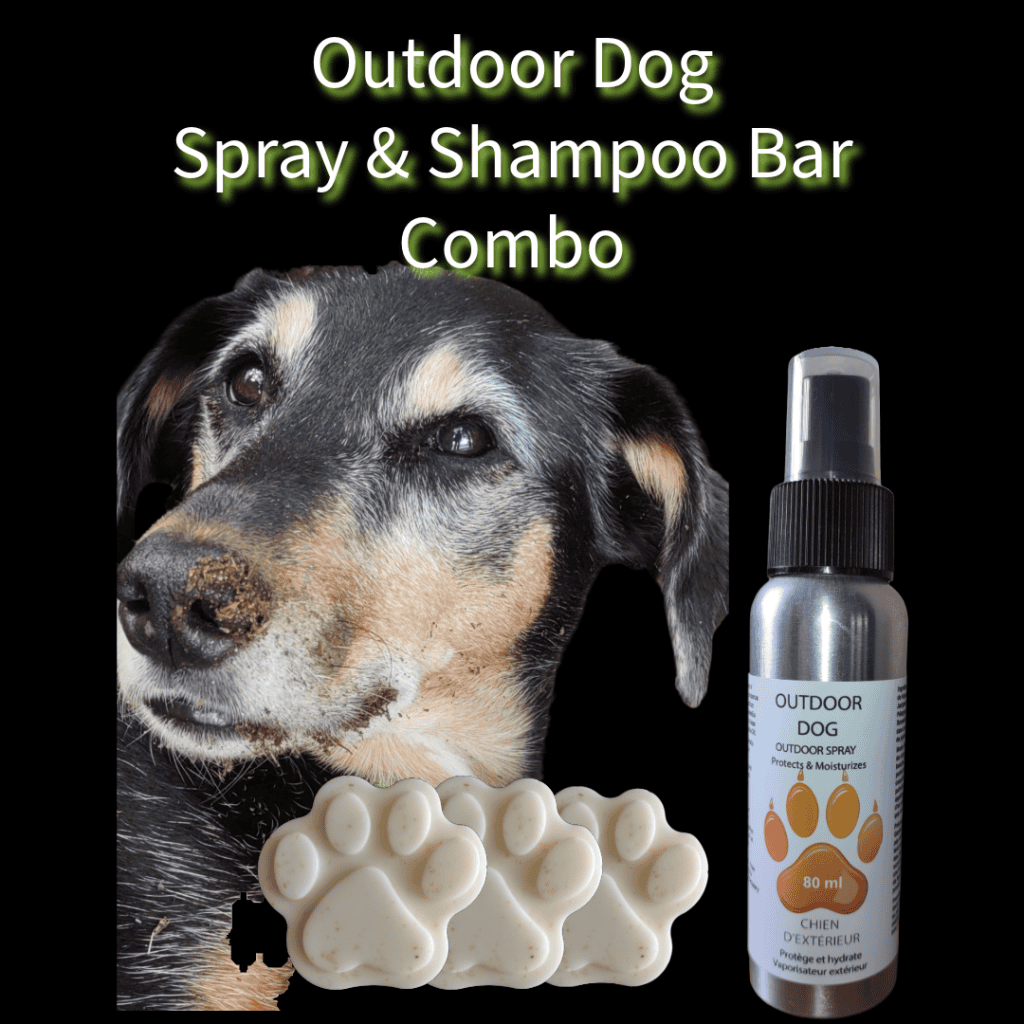 Outdoor-Dog-combo