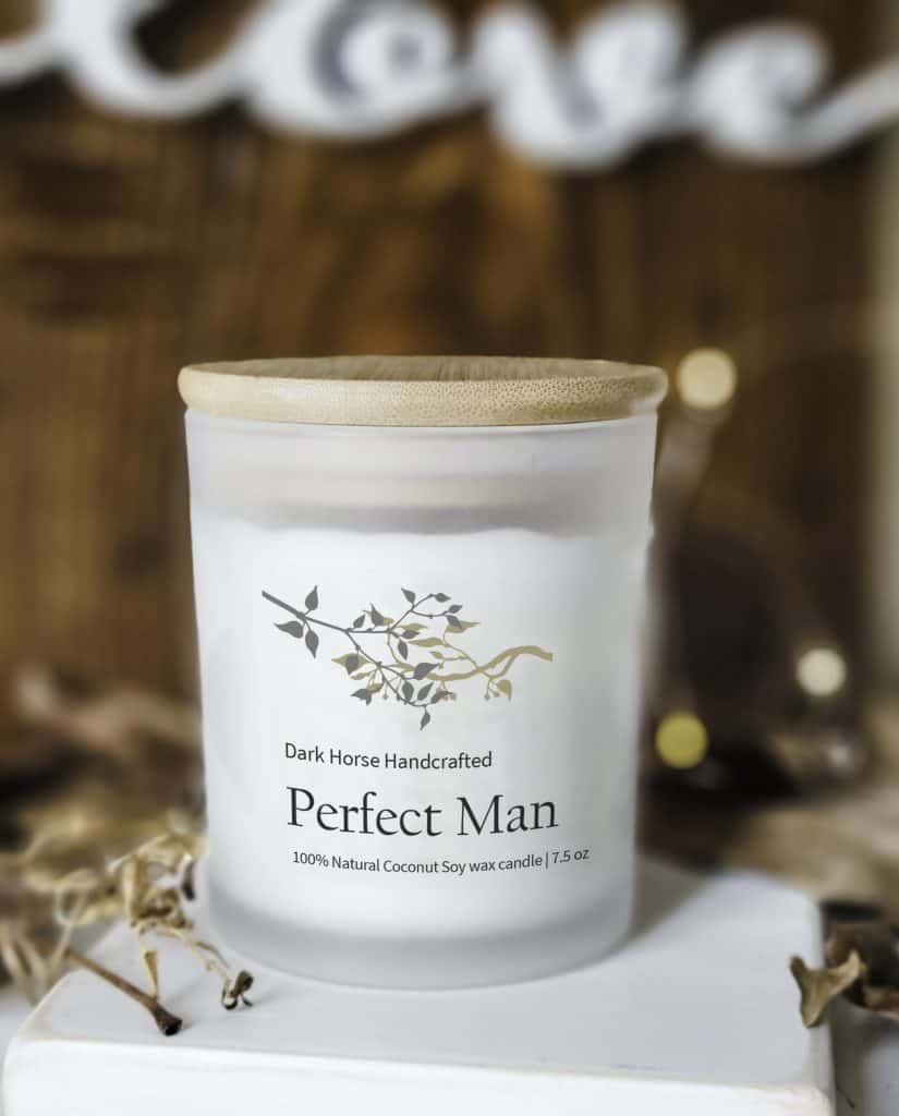 Perfect-Man_2