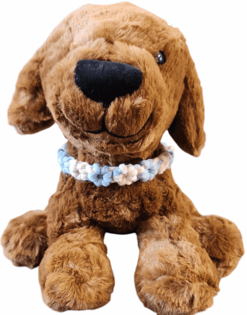 PetCollar19