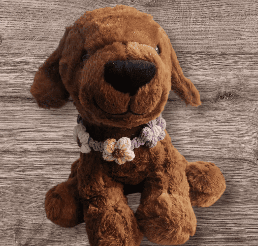 PetCollar20-1
