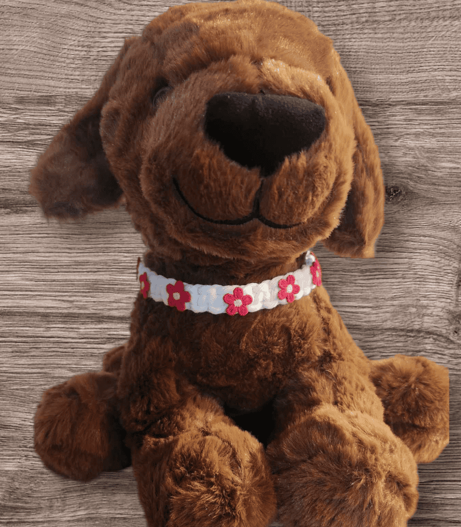 PetCollar22-1