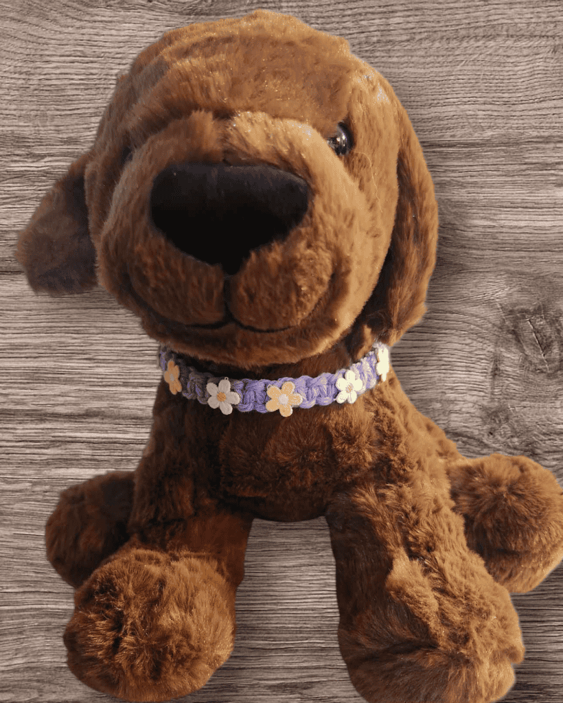 PetCollar23-1