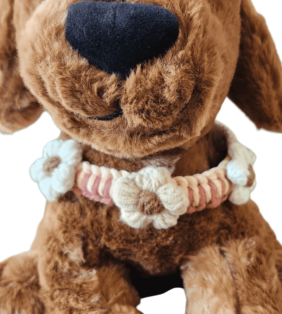 PetCollar31