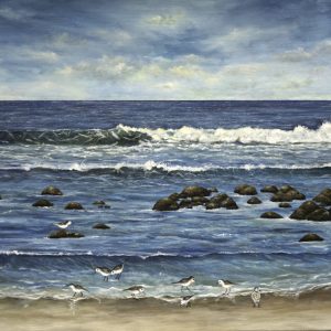 Stoney Island Beach, Cape Sable Island Print