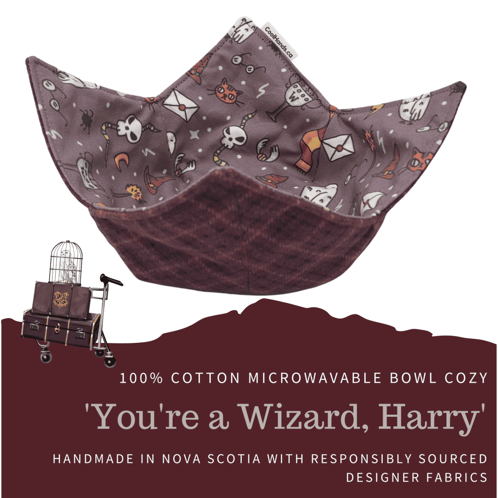 Wizardharrycozy-1