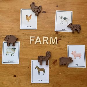 3D Eco Printed Farm Animals Set with Color Flashcards
