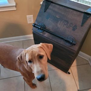 X-Large Wooden Dog Food Storage Bin: 40lb Capacity