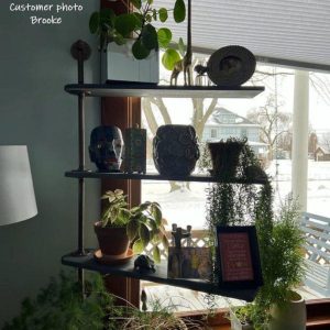 FREE SHIPPING Swivel Plant Rack - 1 to 4 shelfs Available - Swivel Display Rack & Plant Shelf