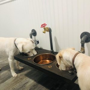 Steampunk Floating Dog Bowl Feeder: Rustic Elevated Pet Feeding Station