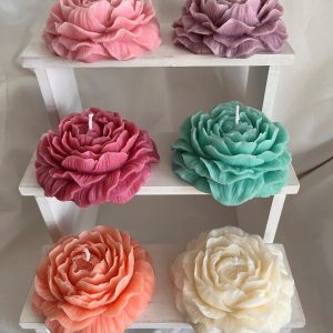 Peony Soy Wax Candles 6 pack multi-colour