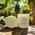 Mango Sun Soy Candle, 227 g.