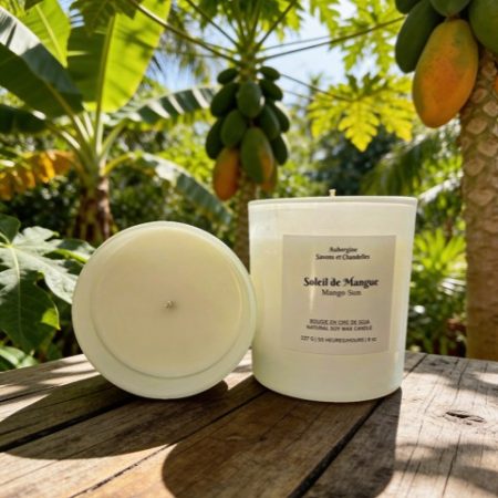 Mango Sun Soy Candle, 227 g.