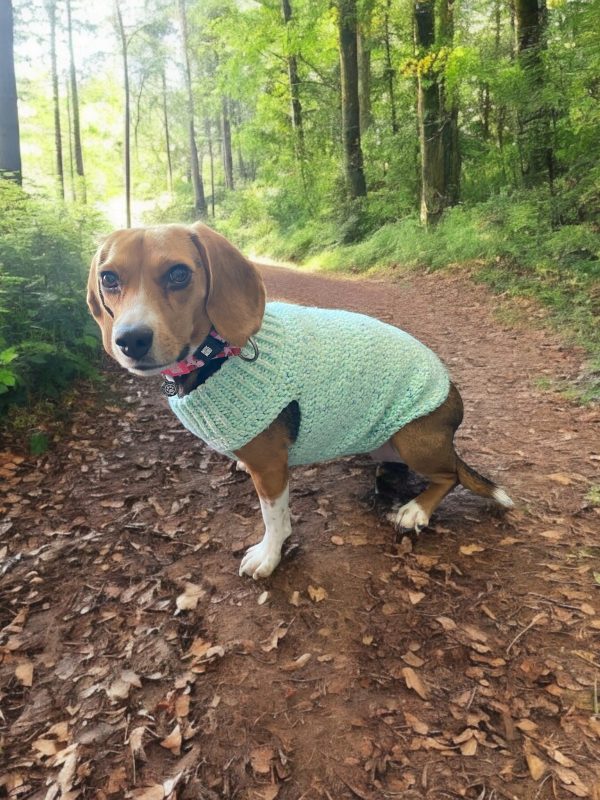 Crochet Pet Sweaters