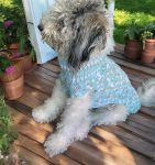Crochet Pet Sweaters