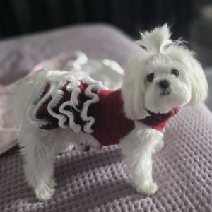 Crochet Pet Sweaters