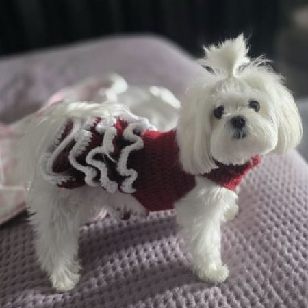 Crochet Pet Sweaters
