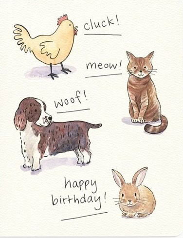 Animal Sounds
