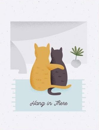 Cat Cuddle