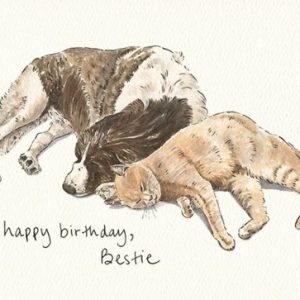 Happy Birthday Bestie Card