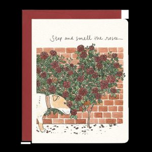 Stop and Smell the Roses Card