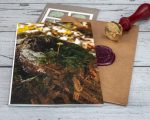 Forest moss tree stump mushrooms card