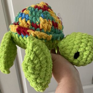 Plush Rainbow Turtle