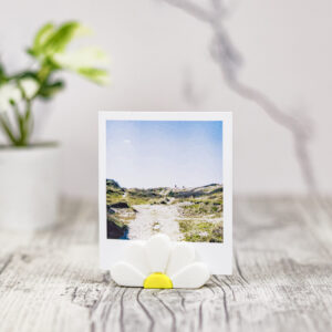 Daisy Flower Photo Holder for Polaroid and Printed Photos