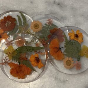 Vibrant orange and yellow handmade pressed flower coasters (Set of 4, STD shipping included)