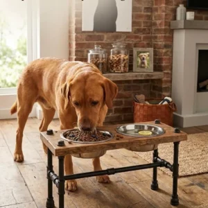X-Large Raised Dog bowl stand with cross Brace