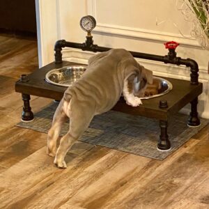 Steampunk Raised Dog Bowl Feeder: Industrial Style, Free Personalization