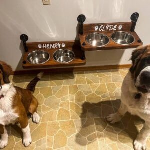 Floating Dog Bowl Feeder: Farmhouse Dual Level Design