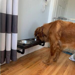 Floating Dog Bowl Feeder, Wood And Pipe Rack Stand