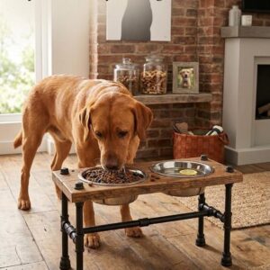 X-Large Raised Dog bowl stand with cross Brace