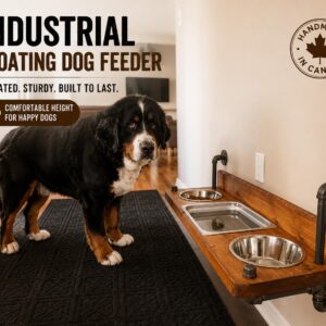 Floating Dog Bowl Feeder, Steampunk Dual Feeder, Wall Mounted Pet Station